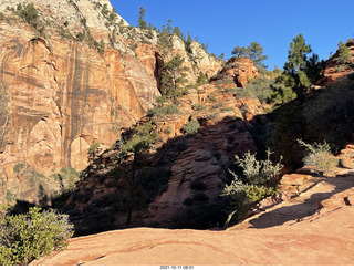 Zion National Park - Scout Landing - chipmunk