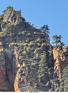 Zion National Park - Scout Landing - chipmunk