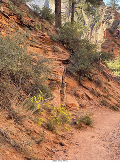 71 a18. Zion National Park - Scout Landing