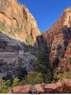 Zion National Park - Scout Landing - Angels Landing hikers