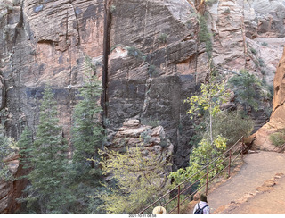 Zion National Park - Scout Landing