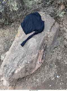 96 a18. Zion National Park - Scout Landing hike - somebody's shirt