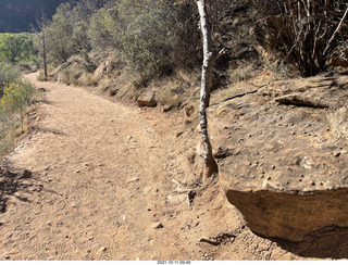 99 a18. Zion National Park - Scout Landing hike - rocks with nodules