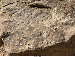 100 a18. Zion National Park - Scout Landing hike - rocks with nodules