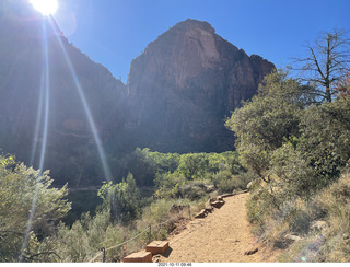 Zion National Park - Scout Landing hike - lichens