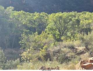 Zion National Park - Scout Landing hike