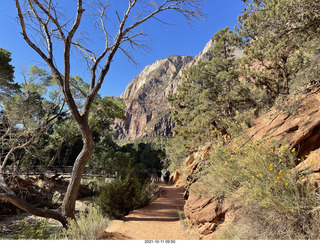 109 a18. Zion National Park - Scout Landing hike