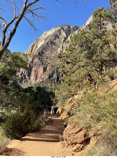 Zion National Park - Scout Landing hike