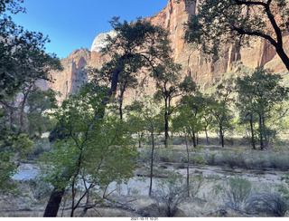 Zion National Park - Scout Landing hike - bridge view