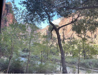 Zion National Park - Scout Landing hike - bridge view