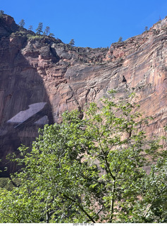 Zion National Park - Scout Landing hike - bridge