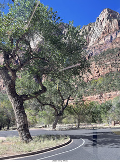 125 a18. Zion National Park