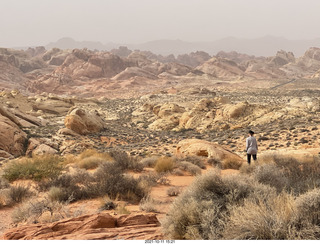 Valley of Fire State Park - Nevada - Rainbow Vista