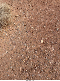 370 a18. Valley of Fire State Park - Nevada - White Domes - rocks