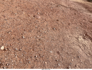 Valley of Fire State Park - Nevada - White Domes - ground rocks