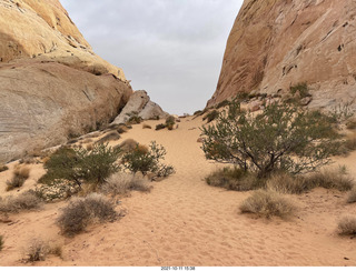 372 a18. Valley of Fire State Park - Nevada - White Domes