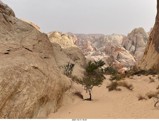 380 a18. Valley of Fire State Park - Nevada - White Domes