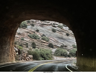 Zion National Park in the rain and fog