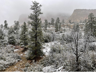 66 a18. Zion National Park in the snow