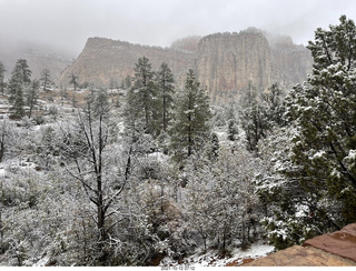 67 a18. Zion National Park in the snow