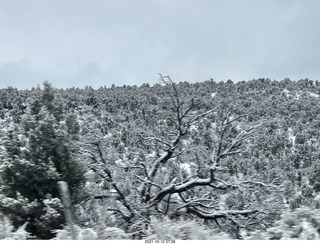 drive to Page in the snow