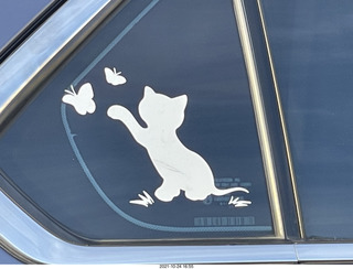 cool car stickers - cat