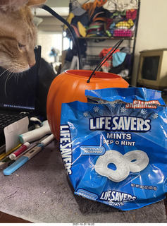1042 a18. my cat Max and Pep-O-Mint life savers