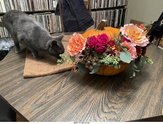 pumpkin flower arrangement