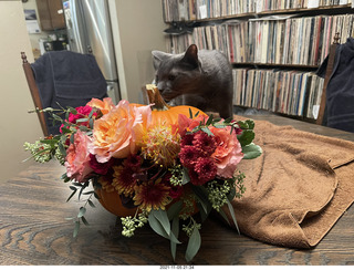 pumpkin flower arrangement