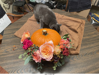 pumpkin flower arrangement