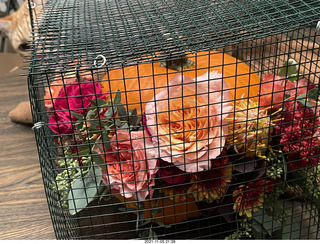 1052 a19. pumpkin flower arrangement in a cage with my cat Max