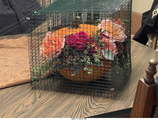 pumpkin flower arrangement in a cage