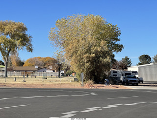 3 a19. Page Airport - colored trees