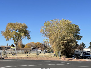 Page Airport - colored trees