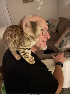 Bengal kitten Pickle on Adam's shoulders