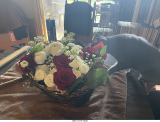 Olga and Anthony gave me a lovely floral bouquet for my birthday + my cat Devin