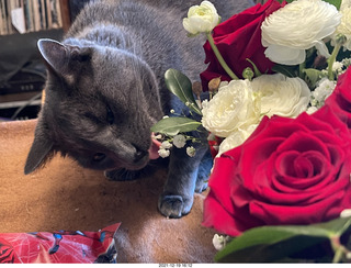 my cat Devin and my birthday flower bouquet