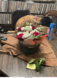 1070 a1a. my birthday bouquet - my cat Max