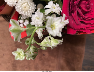 my birthday bouquet - my cat Max