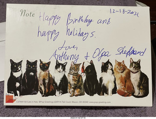 Olga and Anthony holiday/birthday card - 3D cats