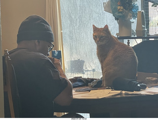 1096 a1b. Jerome studying with my cat Max