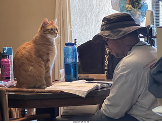 1103 a1b. my cat Max with Jerome studying