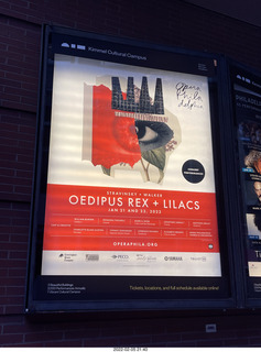 Oedipus Rex opera sign