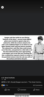 A+O house - 7027 43 Place + cat Potato in the sink + kitten Pickle