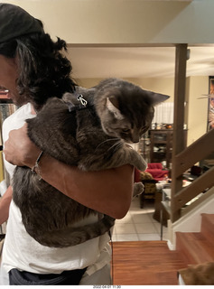 A+O house - 7027 43 Place + Anthony, Olga, cat Potato, kitten Pickle