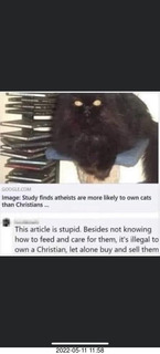 Facebook - cats owning Christians