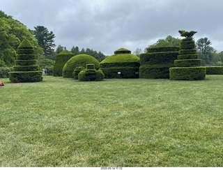 397 a1f. Longwood Gardens topiary