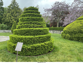 399 a1f. Longwood Gardens topiary