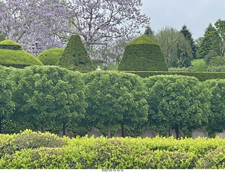 409 a1f. Longwood Gardens topiary