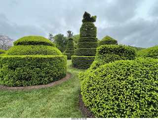 451 a1f. Longwood Gardens topiary